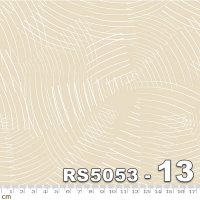 FIRST LIGHT-RS5053-13(3F-04)