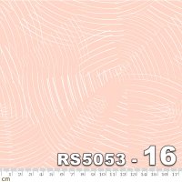 FIRST LIGHT-RS5053-16(3F-04)