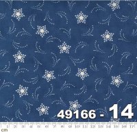 Starlight Gatherings-49166-14(A-13)