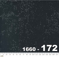 Celestial-1660-172(3F-13)