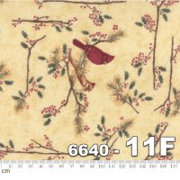 Cardinal Reflections Flannels-6640-11F(フランネル)(3F-17)