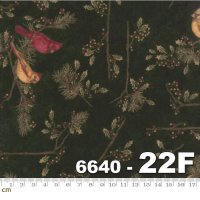 Cardinal Reflections Flannels-6640-22F(フランネル)(3F-17)