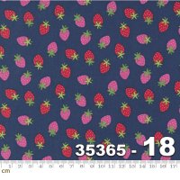 Rainbow Garden-35365-18(3F-11)