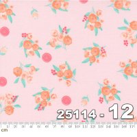 Sew Wonderful-25114-12(A-15)<img class='new_mark_img2' src='https://img.shop-pro.jp/img/new/icons5.gif' style='border:none;display:inline;margin:0px;padding:0px;width:auto;' />