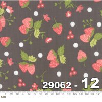 Strawberry Jam-29062-12(3F-20)