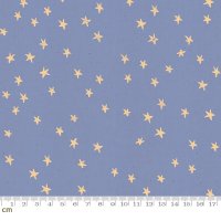 Starry-RS4006-25(3F-05)