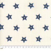 Star and Stripe Gatherings(スターアンドストライプギャザリングス)-1260-12(3F-15)