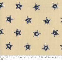 Star and Stripe Gatherings(スターアンドストライプギャザリングス)-1260-14(3F-15)