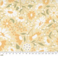 Buttercup & Slate(バターカップ アンド スレート)-29151-13(2F-02)<img class='new_mark_img2' src='https://img.shop-pro.jp/img/new/icons5.gif' style='border:none;display:inline;margin:0px;padding:0px;width:auto;' />