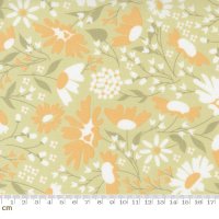 Buttercup & Slate(バターカップ アンド スレート)-29151-15(2F-02)<img class='new_mark_img2' src='https://img.shop-pro.jp/img/new/icons5.gif' style='border:none;display:inline;margin:0px;padding:0px;width:auto;' />
