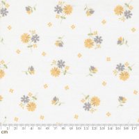 Buttercup & Slate(バターカップ アンド スレート)-29153-11(2F-02)<img class='new_mark_img2' src='https://img.shop-pro.jp/img/new/icons5.gif' style='border:none;display:inline;margin:0px;padding:0px;width:auto;' />