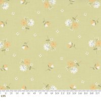 Buttercup & Slate(バターカップ アンド スレート)-29153-15(2F-02)<img class='new_mark_img2' src='https://img.shop-pro.jp/img/new/icons5.gif' style='border:none;display:inline;margin:0px;padding:0px;width:auto;' />
