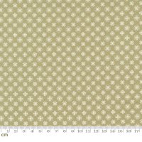 Buttercup & Slate(バターカップ アンド スレート)-29155-14(2F-02)<img class='new_mark_img2' src='https://img.shop-pro.jp/img/new/icons5.gif' style='border:none;display:inline;margin:0px;padding:0px;width:auto;' />