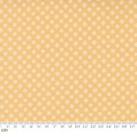 Buttercup & Slate(バターカップ アンド スレート)-29155-22(2F-02)<img class='new_mark_img2' src='https://img.shop-pro.jp/img/new/icons5.gif' style='border:none;display:inline;margin:0px;padding:0px;width:auto;' />