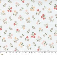Country Rose(カントリー ローズ)-5173-11(2F-02)<img class='new_mark_img2' src='https://img.shop-pro.jp/img/new/icons5.gif' style='border:none;display:inline;margin:0px;padding:0px;width:auto;' />