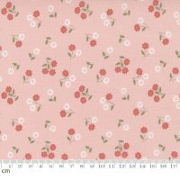 Country Rose(カントリー ローズ)-5173-12(2F-02)<img class='new_mark_img2' src='https://img.shop-pro.jp/img/new/icons5.gif' style='border:none;display:inline;margin:0px;padding:0px;width:auto;' />