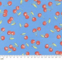 Fruit Cocktail(フルーツ カクテル)-20462-13(3F-16)