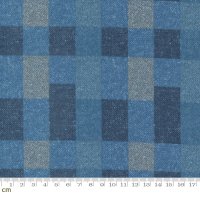Lakeside Gatherings Flannel(レイクサイド ギャザリングズ フランネル)-49220-14F(3F-17)