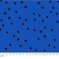 Starry 2023(スターリー 2023)-RS4109-44(3F-15)<img class='new_mark_img2' src='https://img.shop-pro.jp/img/new/icons5.gif' style='border:none;display:inline;margin:0px;padding:0px;width:auto;' />