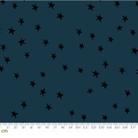 Starry 2023(スターリー 2023)-RS4109-45(3F-15)<img class='new_mark_img2' src='https://img.shop-pro.jp/img/new/icons5.gif' style='border:none;display:inline;margin:0px;padding:0px;width:auto;' />