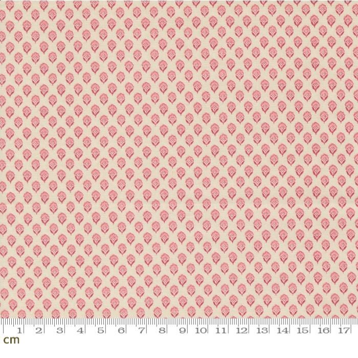 Antoinette(アントワネット)-13957-11 2024年フレンチジェネラル