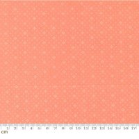 Jelly and Jam(꡼  )-20488-68(2E-09)<img class='new_mark_img2' src='https://img.shop-pro.jp/img/new/icons5.gif' style='border:none;display:inline;margin:0px;padding:0px;width:auto;' />