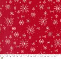 Once Upon A Christmas( ݥ  ꥹޥ)-43164-12(2B-05)