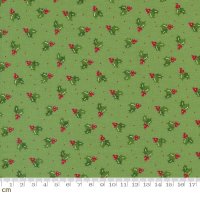 Once Upon A Christmas( ݥ  ꥹޥ)-43165-14(2B-05)