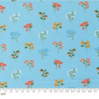 Moda Dainty Meadow(ǥƥ ɡ)-31741-22(2A-05)/110cm<img class='new_mark_img2' src='https://img.shop-pro.jp/img/new/icons5.gif' style='border:none;display:inline;margin:0px;padding:0px;width:auto;' />