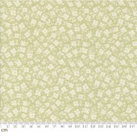 Moda Dainty Meadow(ǥƥ ɡ)-31745-20(2A-05)/110cm<img class='new_mark_img2' src='https://img.shop-pro.jp/img/new/icons5.gif' style='border:none;display:inline;margin:0px;padding:0px;width:auto;' />