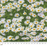 Moda Wildflowers 2024-33773-12(2B-09)  ǥ ۥ磻  110cm<img class='new_mark_img2' src='https://img.shop-pro.jp/img/new/icons5.gif' style='border:none;display:inline;margin:0px;padding:0px;width:auto;' />