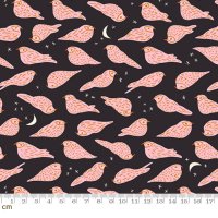 Ruby StarBird Is The Word-RS3078-16(2B-09) moda ξĻ ֥å ԥ  110cm<img class='new_mark_img2' src='https://img.shop-pro.jp/img/new/icons5.gif' style='border:none;display:inline;margin:0px;padding:0px;width:auto;' />