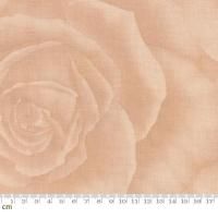 Mon CheriMalie-SF2006-J(3B)   ١å ١ ʿ 110cm<img class='new_mark_img2' src='https://img.shop-pro.jp/img/new/icons5.gif' style='border:none;display:inline;margin:0px;padding:0px;width:auto;' />