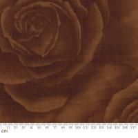 Mon CheriMalie-SF2006-L(3B)   ١å ֥饦 ʿ 110cm<img class='new_mark_img2' src='https://img.shop-pro.jp/img/new/icons5.gif' style='border:none;display:inline;margin:0px;padding:0px;width:auto;' />