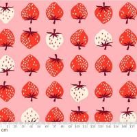 Ruby StarStrawberry-RS3084-13(2B-09) moda  ԥ  110cm<img class='new_mark_img2' src='https://img.shop-pro.jp/img/new/icons5.gif' style='border:none;display:inline;margin:0px;padding:0px;width:auto;' />
