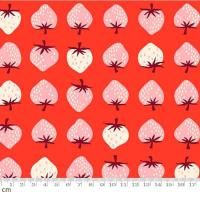 Ruby StarStrawberry-RS3084-18(2B-09) moda  å  110cm<img class='new_mark_img2' src='https://img.shop-pro.jp/img/new/icons5.gif' style='border:none;display:inline;margin:0px;padding:0px;width:auto;' />