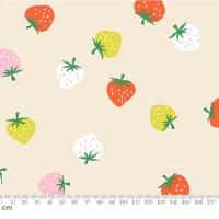 Ruby StarStrawberry-RS3085-11(2B-09) moda  ܥ꡼  110cm<img class='new_mark_img2' src='https://img.shop-pro.jp/img/new/icons5.gif' style='border:none;display:inline;margin:0px;padding:0px;width:auto;' />
