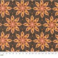 Moda Acorn Hollow-30762-11(2B-09)    ֥饦  110cm<img class='new_mark_img2' src='https://img.shop-pro.jp/img/new/icons5.gif' style='border:none;display:inline;margin:0px;padding:0px;width:auto;' />