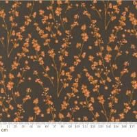 Moda Acorn Hollow-30765-12(2B-09)   ֥饦  110cm<img class='new_mark_img2' src='https://img.shop-pro.jp/img/new/icons5.gif' style='border:none;display:inline;margin:0px;padding:0px;width:auto;' />