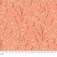 Moda Acorn Hollow-30765-17(2B-09)   ԥ  110cm<img class='new_mark_img2' src='https://img.shop-pro.jp/img/new/icons5.gif' style='border:none;display:inline;margin:0px;padding:0px;width:auto;' />