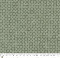 Moda Acorn Hollow-30768-24(2B-09)   ꡼  110cm<img class='new_mark_img2' src='https://img.shop-pro.jp/img/new/icons5.gif' style='border:none;display:inline;margin:0px;padding:0px;width:auto;' />