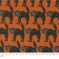 Moda Home Sweet Haunt-20915-13(2A-06) ǭ ϥ   110cm<img class='new_mark_img2' src='https://img.shop-pro.jp/img/new/icons5.gif' style='border:none;display:inline;margin:0px;padding:0px;width:auto;' />