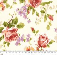 20%offۡMon CheriMalie-SF1014-3(3B)    ʪ ܥ˥ ʿ 110cm<img class='new_mark_img2' src='https://img.shop-pro.jp/img/new/icons21.gif' style='border:none;display:inline;margin:0px;padding:0px;width:auto;' />