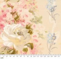 20%offۡMon CheriMalie-SF1012-5(3B) ١ ʪ ܥ˥ ʿ 110cm