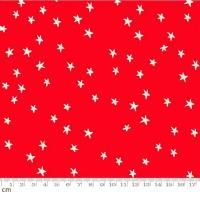Ruby StarStarry2025-RS4109-74(3A-03) moda  å  110cm<img class='new_mark_img2' src='https://img.shop-pro.jp/img/new/icons5.gif' style='border:none;display:inline;margin:0px;padding:0px;width:auto;' />