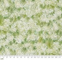 Sweet Cecily-24642-12(3A-05)  ۥ磻ȷ ꡼ 򤤲  ø  110cm<img class='new_mark_img2' src='https://img.shop-pro.jp/img/new/icons5.gif' style='border:none;display:inline;margin:0px;padding:0px;width:auto;' />