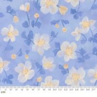 Sweet Cecily-24641-14(3A-05) ֥롼 򤤲  ø  110cm<img class='new_mark_img2' src='https://img.shop-pro.jp/img/new/icons5.gif' style='border:none;display:inline;margin:0px;padding:0px;width:auto;' />