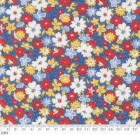 Moda-k 30s Playtime 2025-23370-18(3A-05)  ڤ䤫 ե 襤  110cm<img class='new_mark_img2' src='https://img.shop-pro.jp/img/new/icons5.gif' style='border:none;display:inline;margin:0px;padding:0px;width:auto;' />