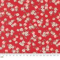 Moda-k 30s Playtime 2025-23371-14(3A-05)   ʪ ե롼 ڤ䤫 ե 襤  110cm<img class='new_mark_img2' src='https://img.shop-pro.jp/img/new/icons5.gif' style='border:none;display:inline;margin:0px;padding:0px;width:auto;' />