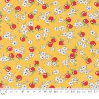 Moda-k 30s Playtime 2025-23371-15(3A-05)   ʪ ե롼 ڤ䤫 ե 襤  110cm<img class='new_mark_img2' src='https://img.shop-pro.jp/img/new/icons5.gif' style='border:none;display:inline;margin:0px;padding:0px;width:auto;' />